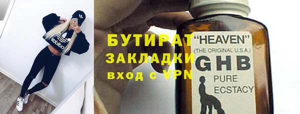 индика Алексин