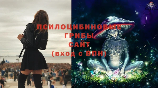 индика Алексин