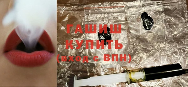 индика Алексин