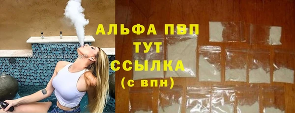 индика Алексин