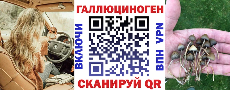 Псилоцибиновые грибы Cubensis  Анива 